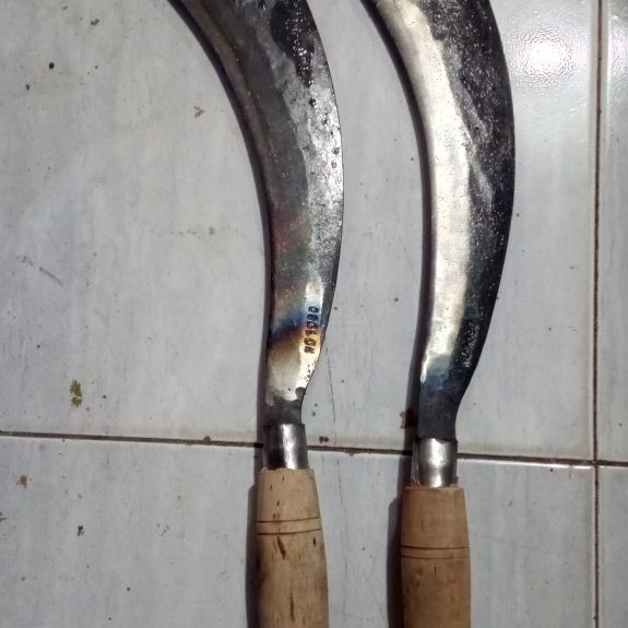 arit tebu, parang tebu, alat panen tebu