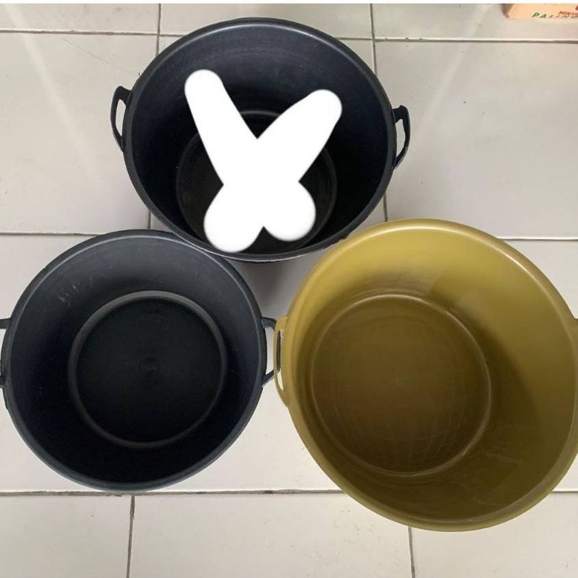 bak kuping hitam/kuning/ember bulat kuping