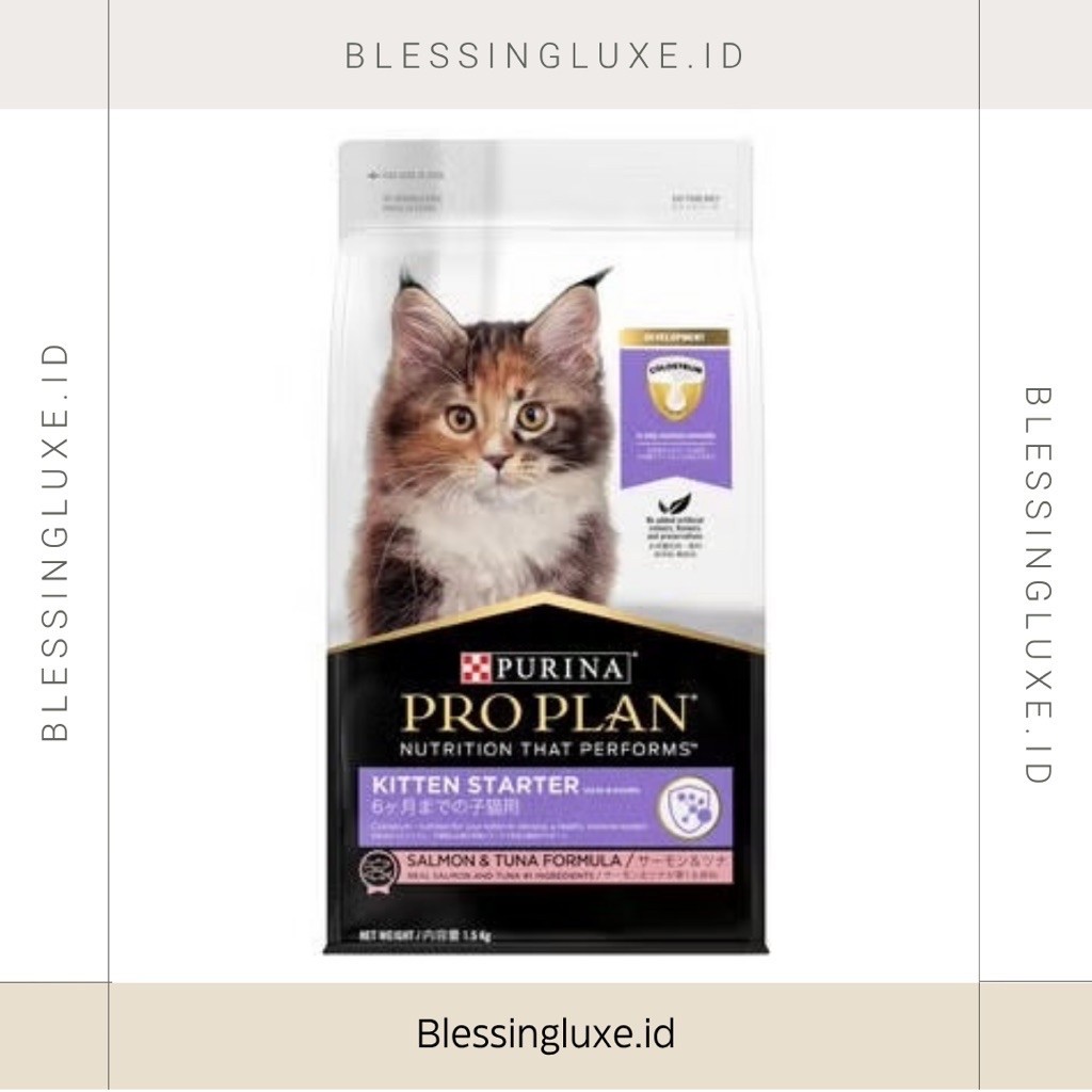 PROPLAN KITTEN MAKANAN KUCING UNTUK ANABUL KITTEN BAYI KUCING