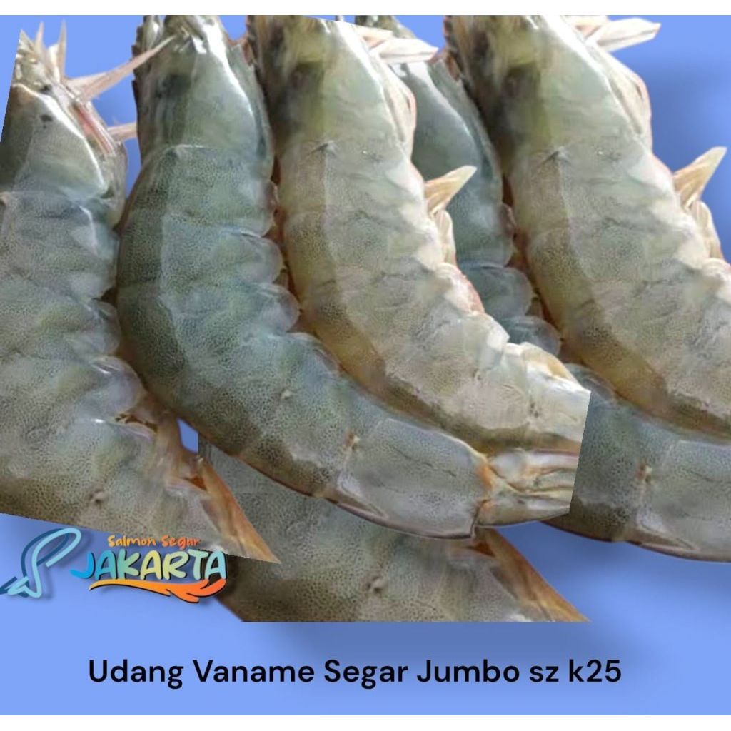 Udang Vaname Fresh Jumbo - Vaname Segar k25
