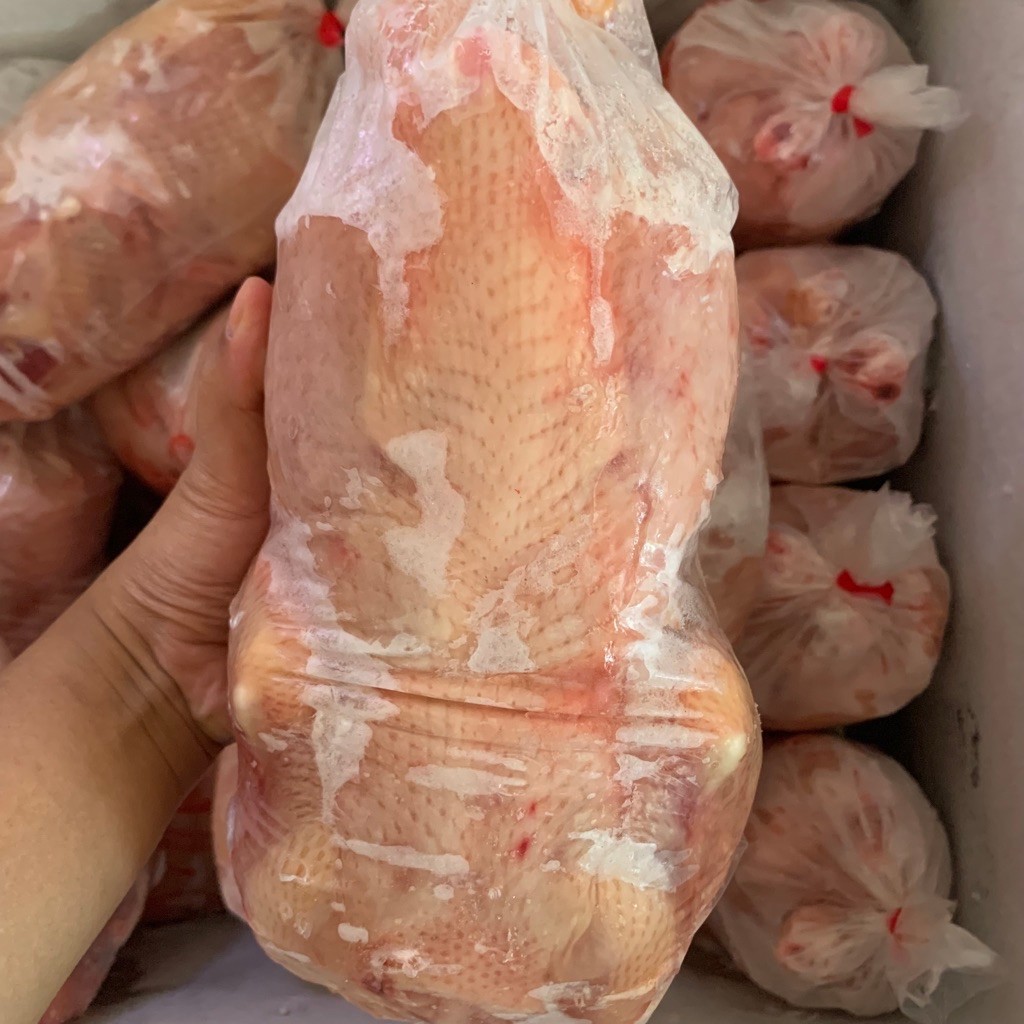 Ayam Broiler Karkas Utuh 2kg (INSTANT)