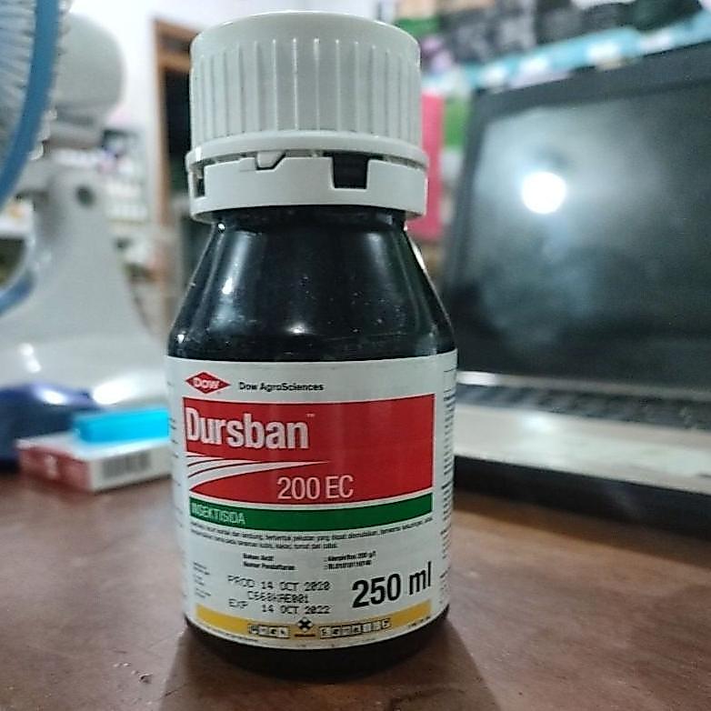 RZ INSEKTISIDA DURSBAN 200EC 250 ml bahan aktif klorpirifos
