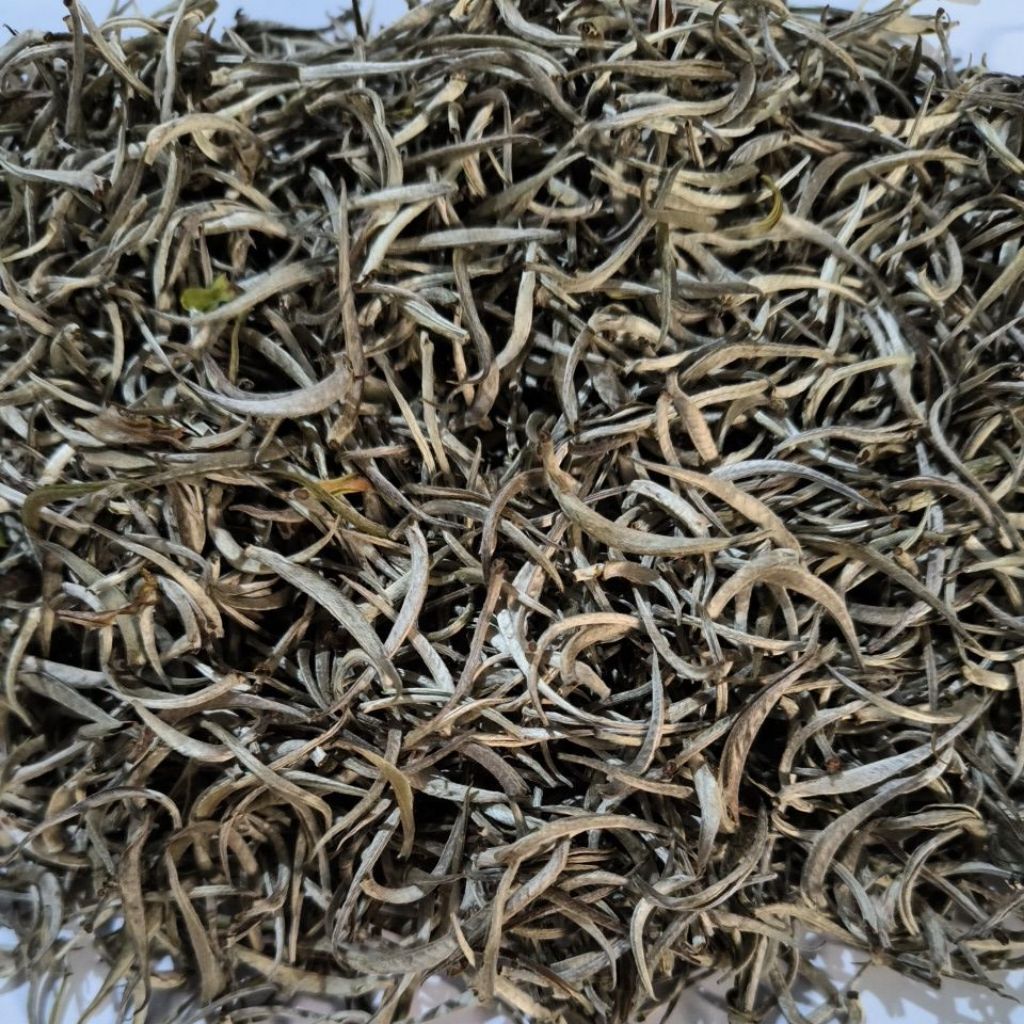 Teh Putih  /White Tea Silver Needle kiloan /50 gr