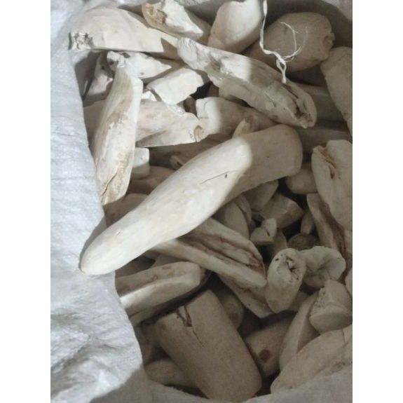 GAPLEK gaplek singkong Gatot Singkong 1 kg mentah kering Gaplek Kering bahan Gatot  bahan Tiwul gapl