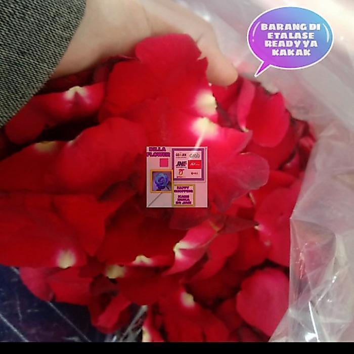 READY Rose petals / kelopak bunga mar asli segar