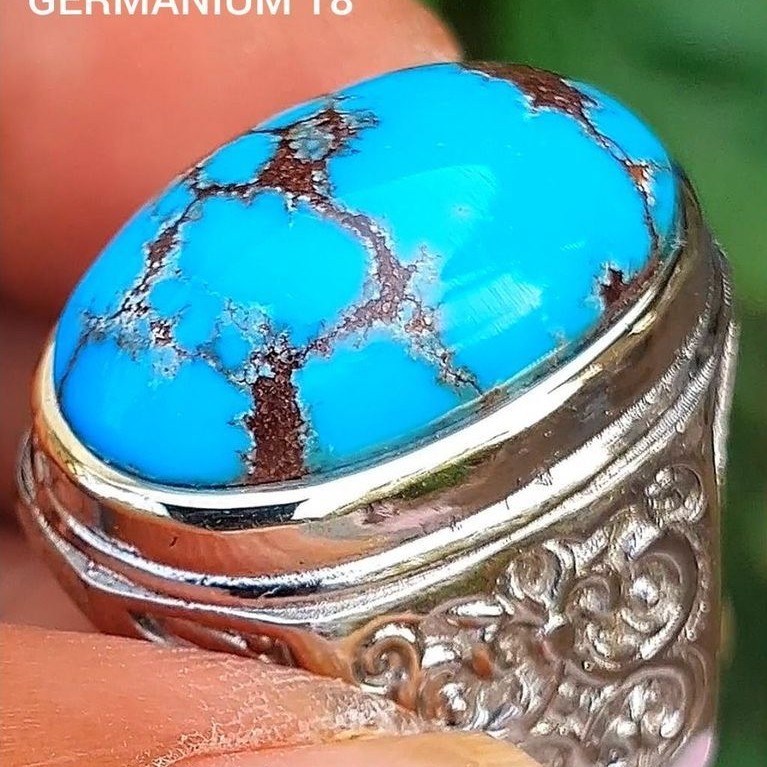 pirus mesir lawasan 276