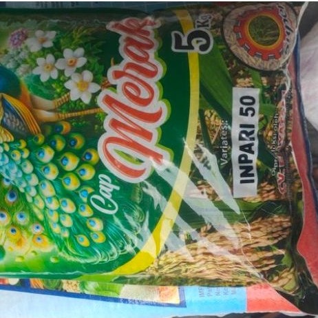 BENIH PADI BK SITUBONDO 01 UMUR GENJAH KEMASAAN 5 KG