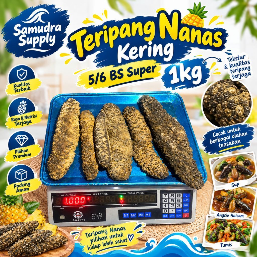 Samudra Supply Teripang Nanas Kering 5/6 BS Super 1kg untuk berbagai olahan