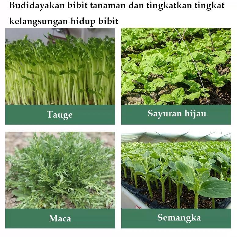 Promo Cod 50Mm Tray Semai Tanpa Lubang Tray Semai Bibit Biji  Semai Seedling Tanaman Hidroponik  Tat