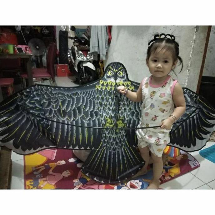 layangan elang jumbo