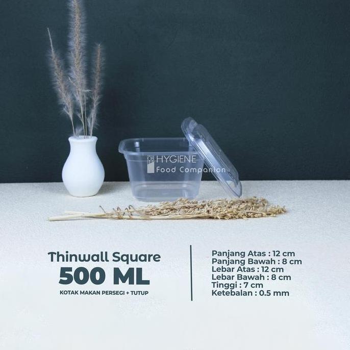 Thinwall Kotak Makan 500ml Plastik - Food Container Persegi 500ml