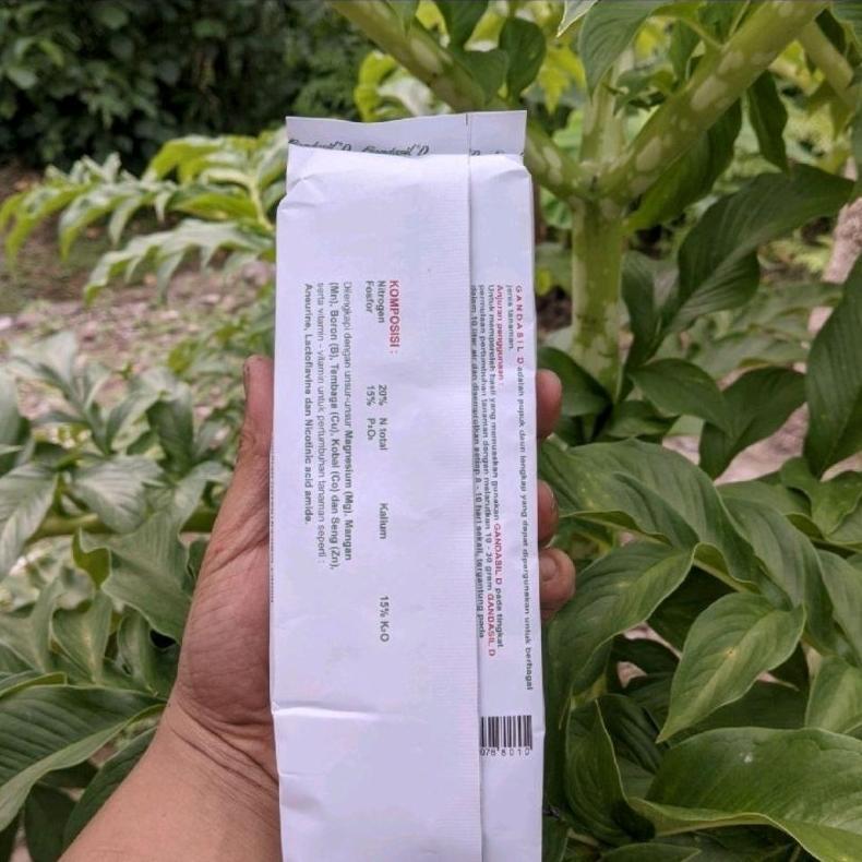 Promo Cod Pupuk Gandasil D Pupuk Gandasil Hijau 100G Dan 500G Gandasil/Gandasil Daun ...