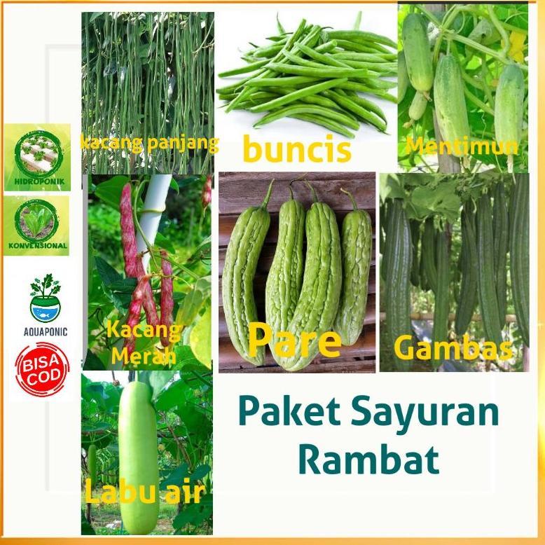 Promo Cod Paket 7 Macam Sayuran Merambat + Bonus Polibag Semai, Pupuk Npk Serta Benih Lainnya ...