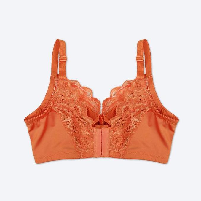 Promo The Brahouse Bra Full Cup B01-1412 - Cup C & D COD