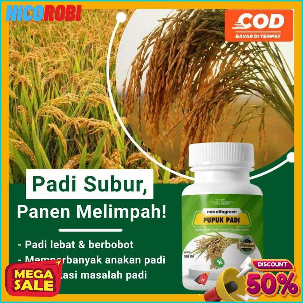 Cod Pupuk Pertumbuhan Padi Penambah Hasil Padi Booster Daun Dan Anakan Padi Pelebat Buah  Dan Penyub