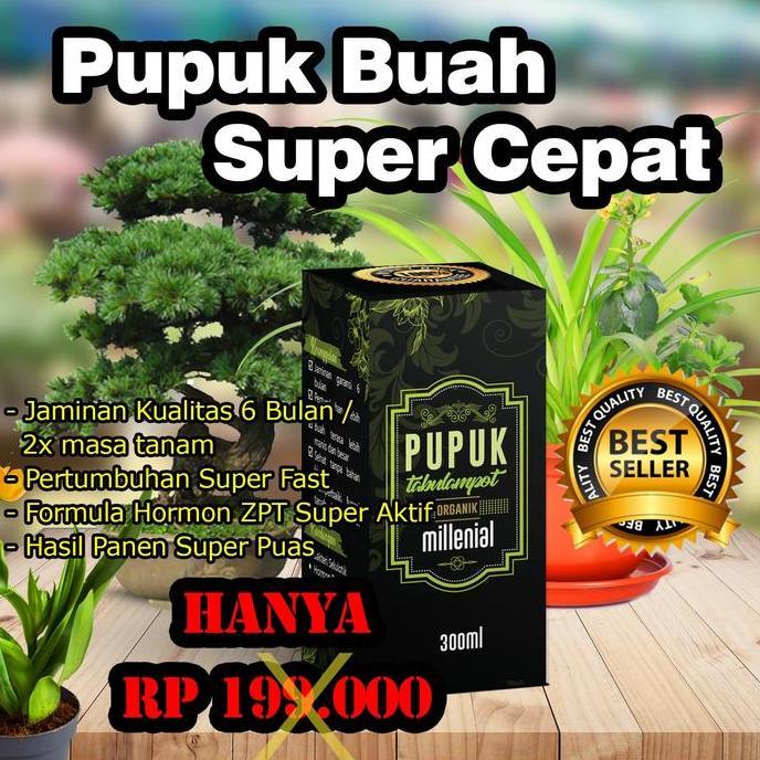 Terlaris Powerfull !! Pupuk Tabulampot Jambu Air