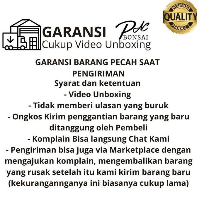 Terlaris Pot Keramik Bonsai Cascade | Kaktus | Sukulen Sansivera Ukuran Besar