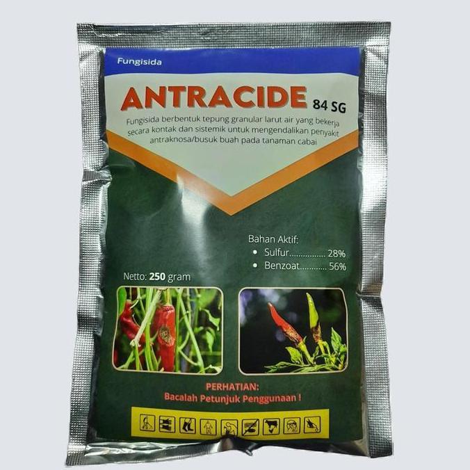 ANTRACIDE 84 SG 250 gram Fungisida Antraknosa / Patek / Cacar / Busuk Buah dan Daun