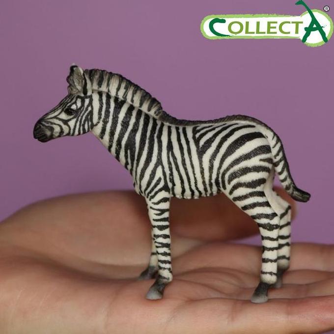 COLLECTA 88850 - ZEBRA FOAL - ANIMAL FIGURE