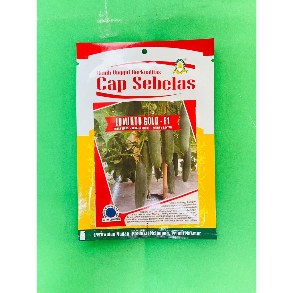 Benih Timun Mentimun LUMINTU GOLD F1 20gr dr Cap Sebelas
