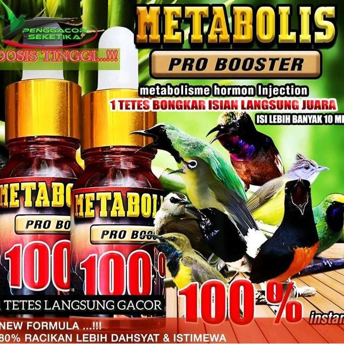 janjuko_3 - metabolis 10ml - jamu herbal penggacor burung murai, pleci, cucak ijo, kenari, lovebird