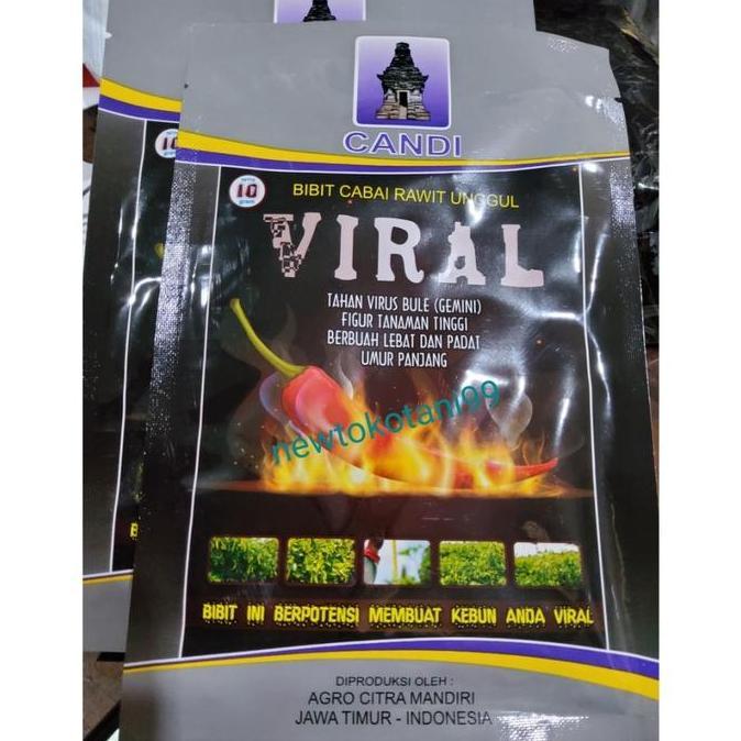 Benih Cabe Rawit Viral 10 Gram Benih Cabai Rawit Unggul Cap Candi Cabai Rawit Pedas