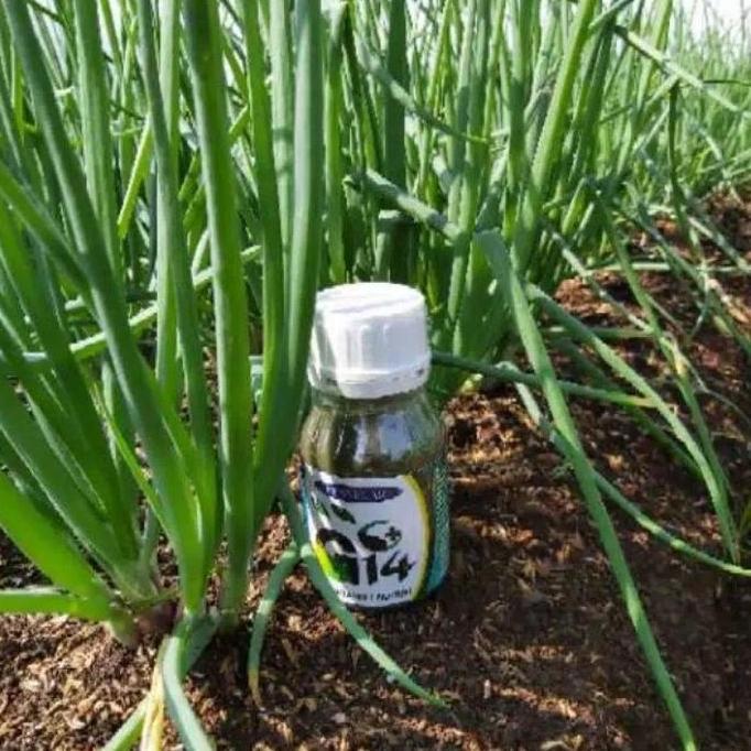G14 Agroben Pupuk Daun , Penyegar , Mengandung Vitamin Dan Zpt