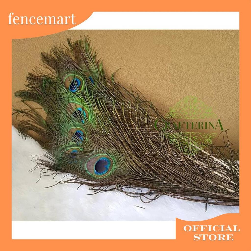 Replika Bulu Merak Sintetis Halus Imitasi / Kerajinan Replika Bulu Hewan Burung Merak C Promo