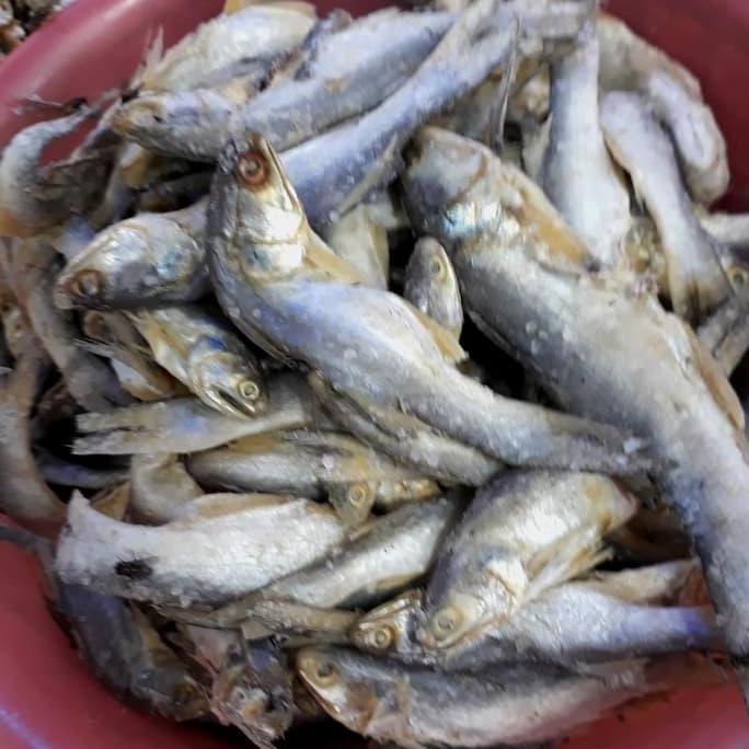 Ready Ikan sinangin medan 500gr