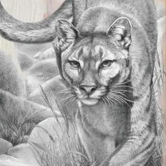 HIASAN DINDING LUKISAN MACAN HARIMAU DEKORASI DINDING RUANG TAMU CAFE