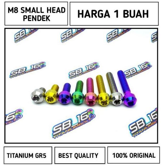 M8 SMALL HEAD TITANIUM GR5 (DRAT12) PENDEK