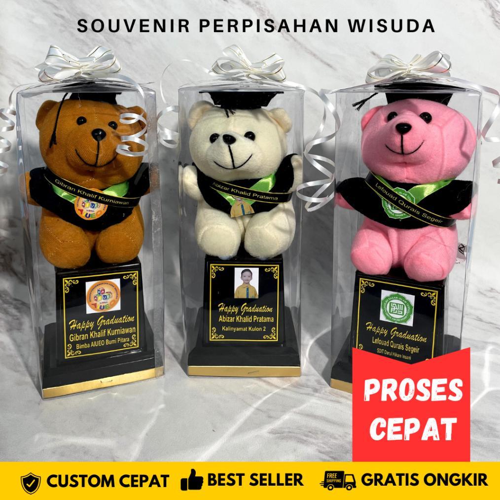 Piala Boneka Wisuda Trophy Souvenir Perpisahan Sekolah Mika TK PAUD SD SMP Kado Hadiah Grosir Murah 