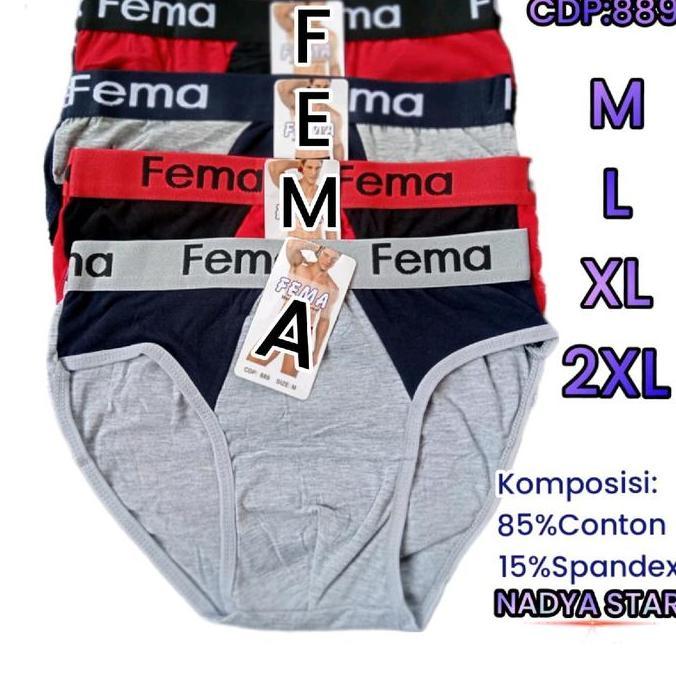 3Pcs Celana Dalam Pria Fema Cd Pria Dewasa Fema Katun Spandex