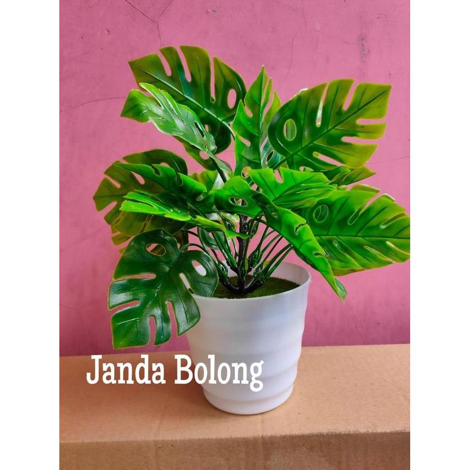 Promo Bunga Plastik Hias Tanaman pot Bonsai Monstera Janda Bolong Palem Pajangan COD