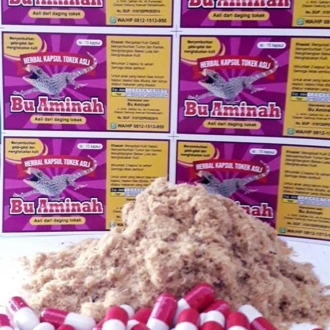 COD REDY Kapsul Tokek ASLI "BU AMINAH" Mengobati Penyakit Dalam
