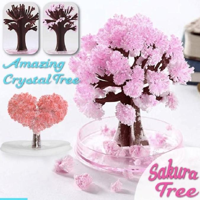 Pohon Sakura Ajaib Magic Cherry Paper Tree Growing Tree Ajaib