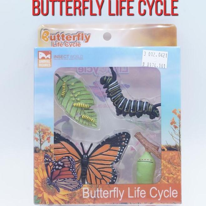 K Butterfly Insects Life Growth Cycle Siklus Kupu Kupu Serangga Fure Miniature Animal Furine Pajanga