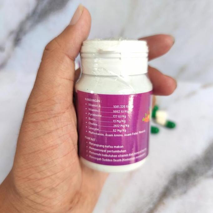 Rept Vit by Mr Vet, Vitamin Reptil, Rept Vit Capsul, Sulcata, Pardalis