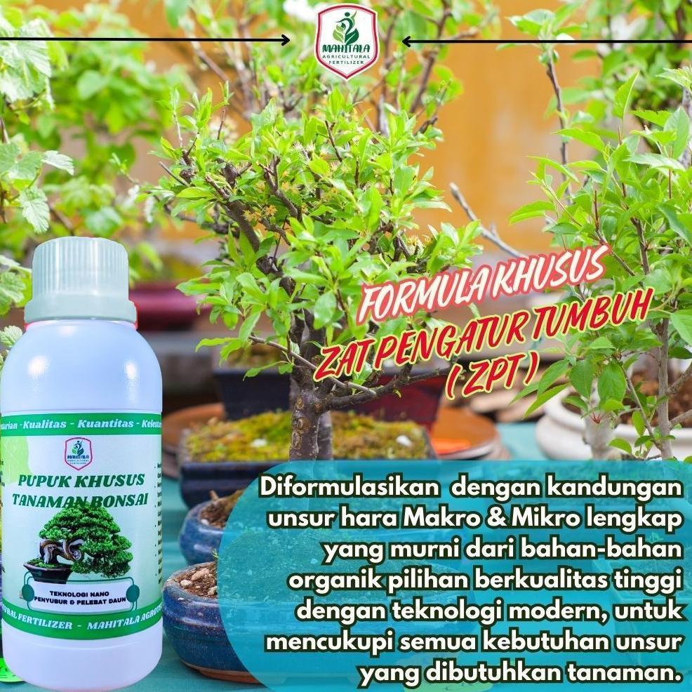 Bisa Cod Ya Kak Pupuk Khusus Bonsai Pemacu Dan Pelebat Perangsang Akar Batang Daun Bonsai Pupuk Peny