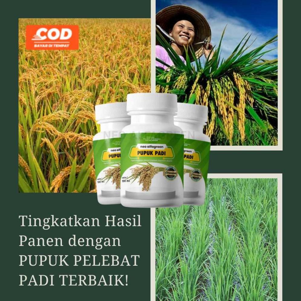 Bisa Cod Ya Kak Pupuk Booster Organik Pemacu Pertumbuhan Tanaman Padi Penyubur Organik Perangsang Bu