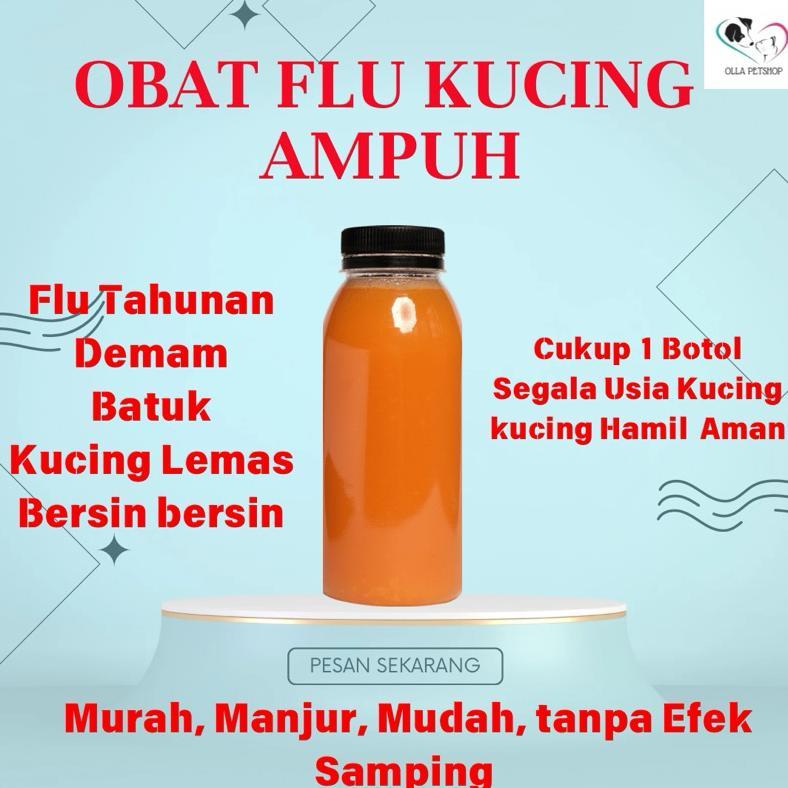 Obat Flu Kucing Ampuh Murah mengobati Batuk Demam Pilek kucing