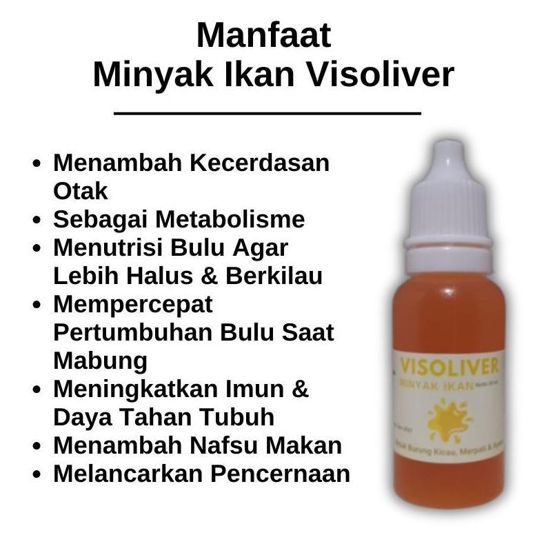 Visoliver Minyak Ikan Untuk Burung Kicau Sebagai Vitamin Otak Burung Murai Batu Perkutut