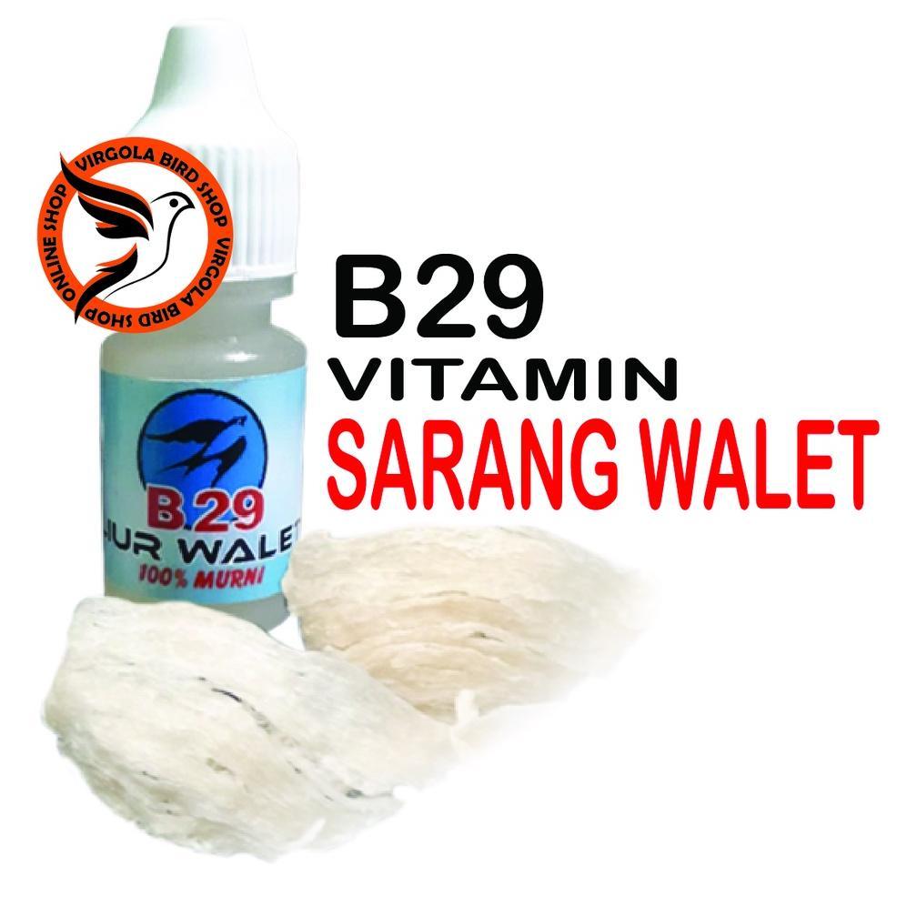 Sarang Walet Penggacor Seketika Vitamin Burung
