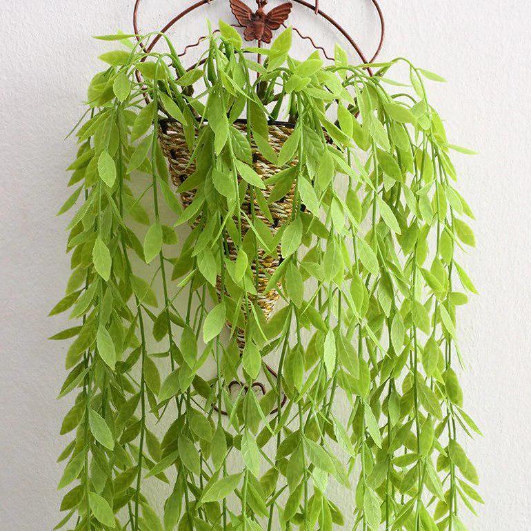 Bisa Cod Ya Kak Bunga Plastik Anggrek Gantung Artificial Daun Hiasan Dinding Artificial Fake Leaf Hi