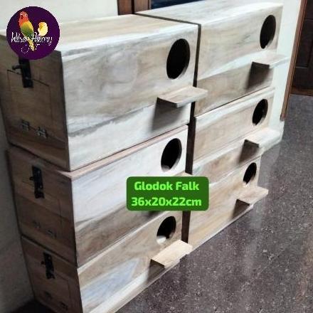 GLODOK KAYU JATI FALK COCKATIELS  PINEAPPLE CONURE PARROT FINISHING HALUS SS