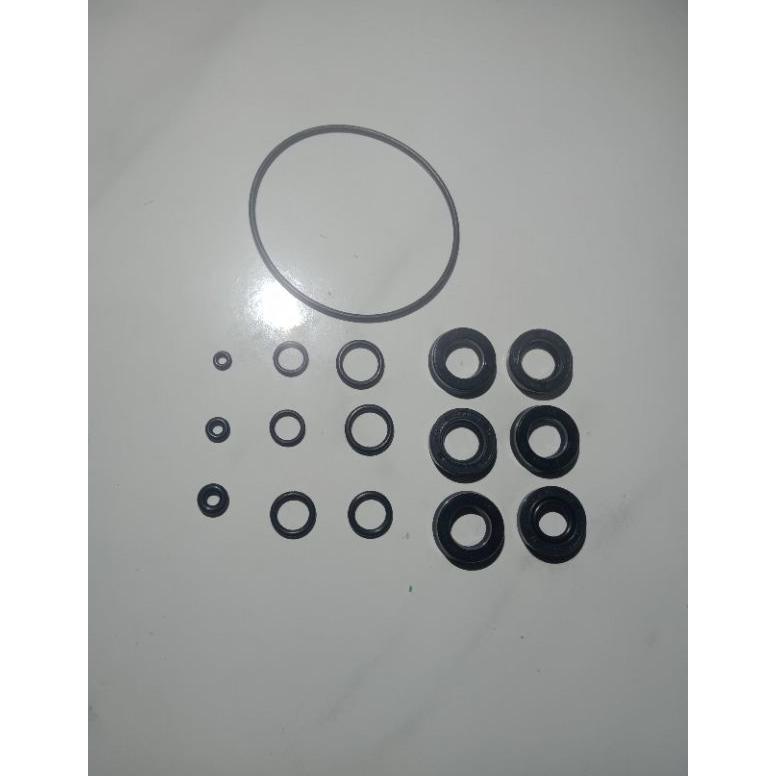 Seal Mesin Jet cleaner TKR Annovi Reverberi 1set water seal TKR Annovi Reverberi