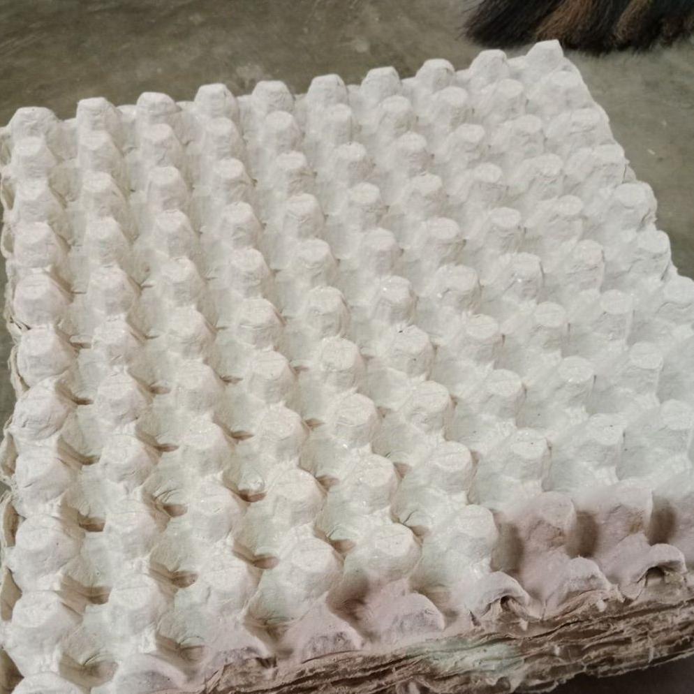 Bisa Cod Tray Telur Puyuh /Tempat Telur Puyuh ||