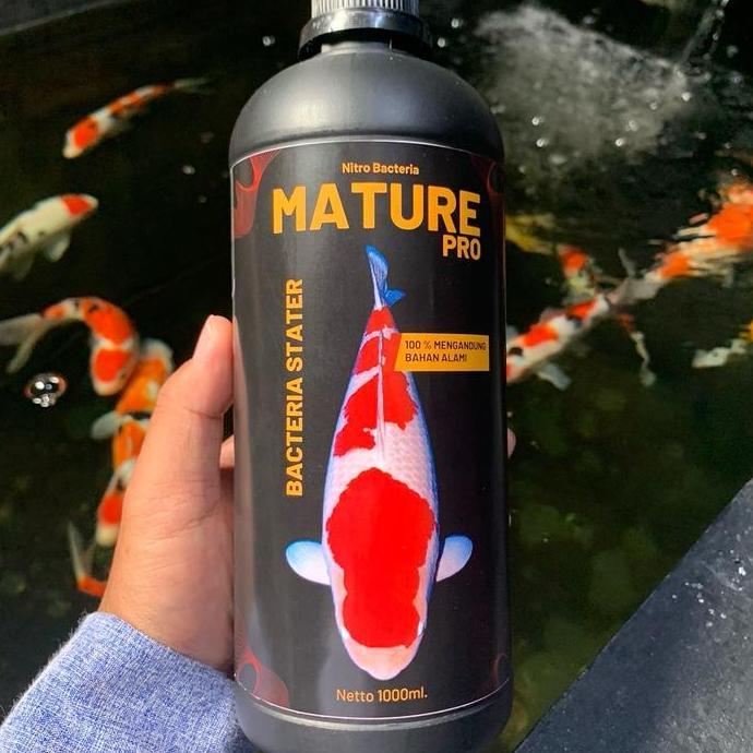 1 Liter Mature Pro Bakteri Stater Nitrobacter ikan Koi dan untuk Semua Jenis Ikan Air Tawar. Penjern