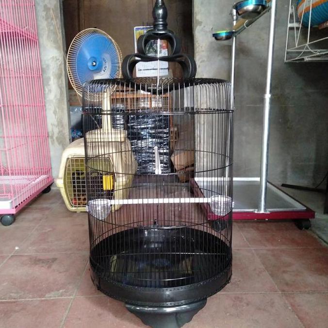 Sangkar Burung Lovebird Besi Jumbo Import Terlaris