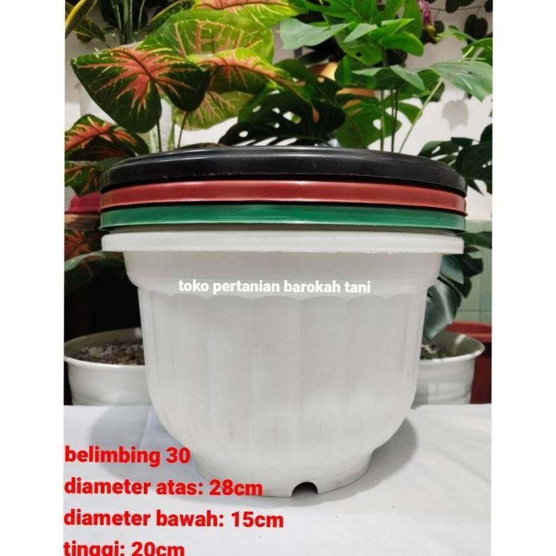 Promo Cod (1Pcs) Pot Belimbing 30 Pot Jumbo Model Belimbing Tebal Murah 
